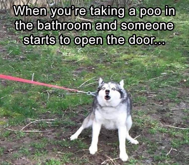 funny