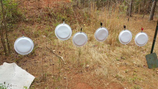 shooting, target, paper plates, AR-15, firearms. Tannerite, prepper, preparedness, SHTF, target, practice, training