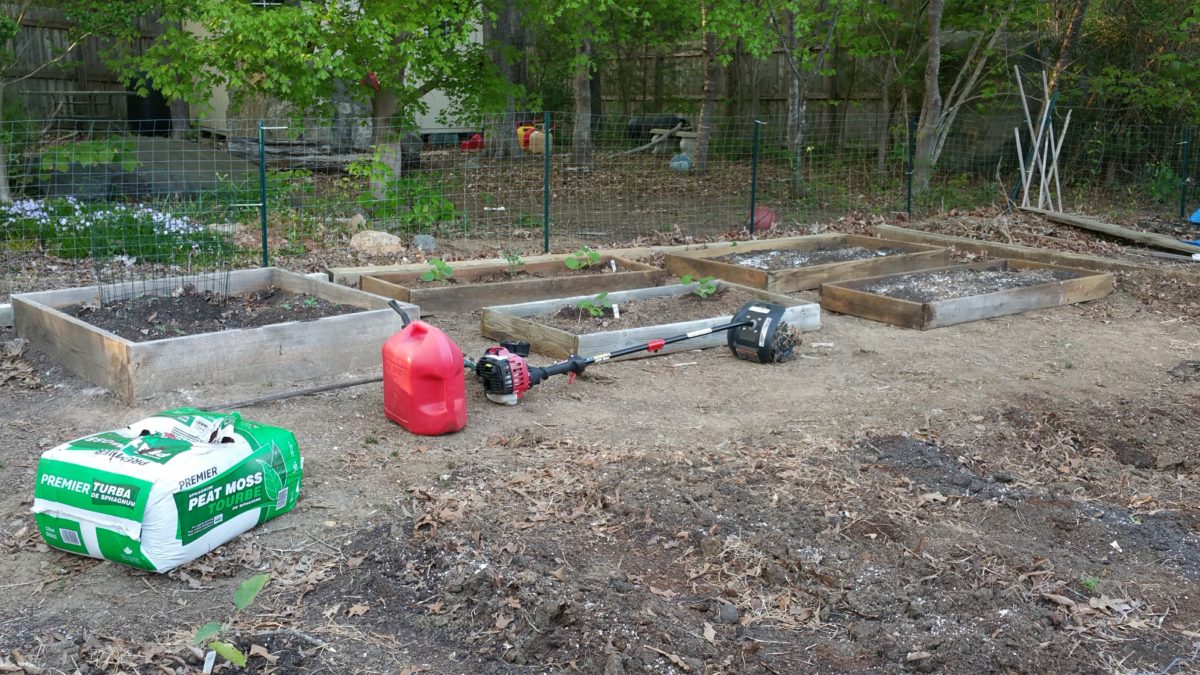 survival, garden, gardening, prepper, preparedness, 