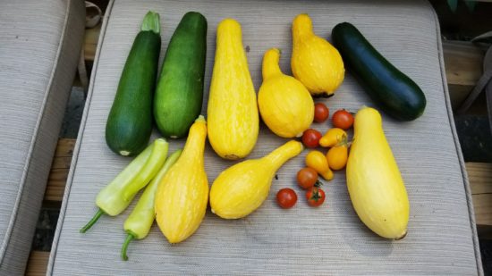 garden prepper, survival, seed, preparedness, garden, gardening