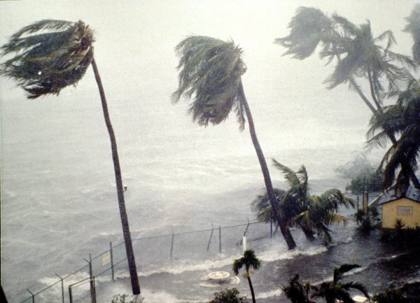 hurricane, hugo, hurricane hugo, storm, preparedness, prepare