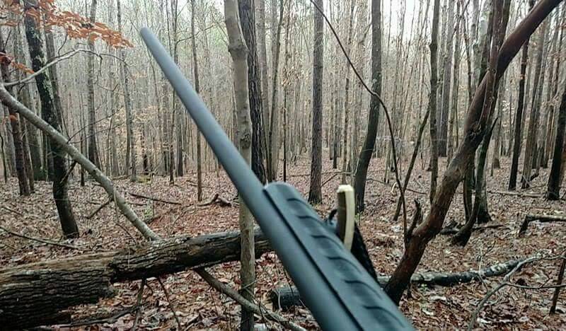 Hunting