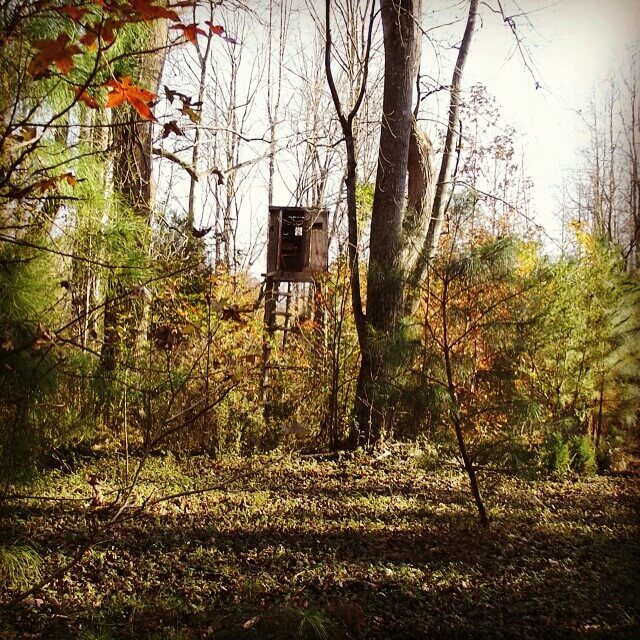 Enjoying nature