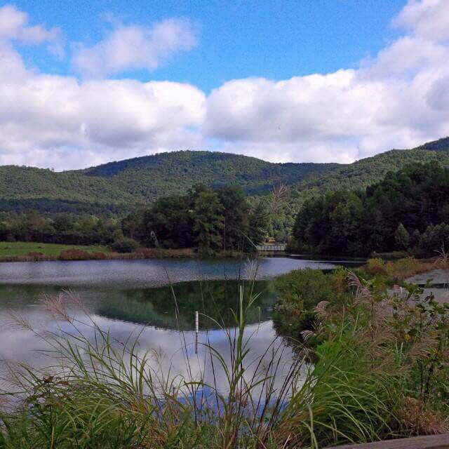 Enjoying nature