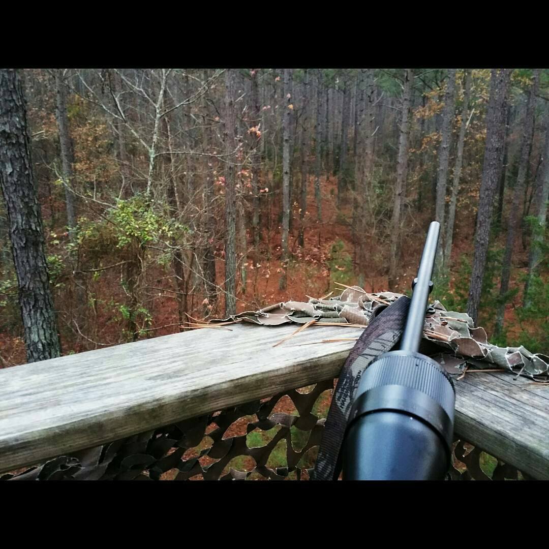Hunting