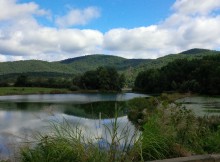nature, country, life