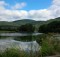 nature, country, life