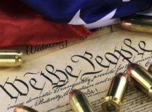 Gun Control Scenario