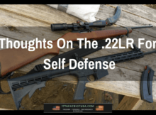 22LR, defense, SHTF, prepper, self defense, preparedness, gun, rimfire,
