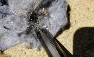 ferro rod, fire starting, dryer lint, SHTF, primitive, survival, prepper, preparedness