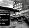 Taurus, G2, 9mm, pistol, preparedness, self defense,