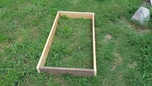 raised bed, gardening, survival gardening, SHTF,