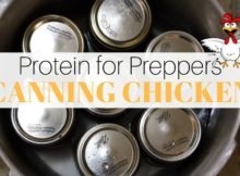 canning chicken, canning, food storage, SHTF, prepper, preparedness