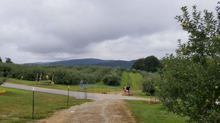 20170827_103703