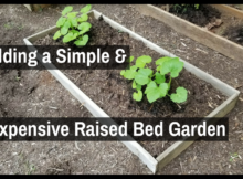 raised bed garden, garden survival, survival garden, food, food storage, growing food, SHTF