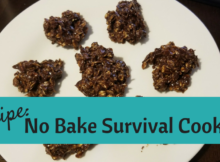 no bake cookies, survival, prepper, food storage, shtf