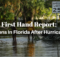 Hurricane Irma, survival, disaster, aftermath, report, Florida, prepper, preparedness