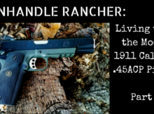 1911, 45ACP, combat pistol, CWP, SHTF, training,