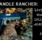 1911, 45ACP, combat pistol, CWP, SHTF, training,