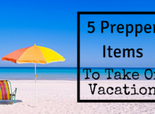vacation, preparedness, survival, SHTF, things to take,