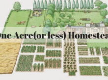 one acre homestead, 1/4 acre homestead, preparedness, prepper, survival