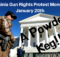 Virginia, gun coontrol, gun rights, protest