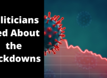 politicans, lied, lockdown, politics, preparedness, pandemic