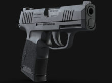 P365, Sig, Sig P365, defense, CWP