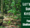 survival kit, build, prepper, SHTF, preparedness, survival,