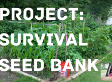 survival seed bank, seed bank, seedbank, survival, garden, gardening, prepper, shtf, preparedness