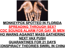 monkeypox, survival, virus, prepper, preparedness, shtf