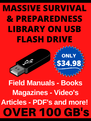 Massive USB Survival Library