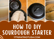 DIY, sourdough, starter, sourdough starter, how to, homemade, bread, from scratch, homesteading, prepper, preparedness, survival, save money, do it yourself