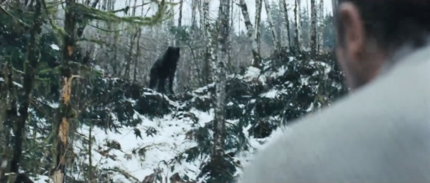 The Grey, wold, movie, ending, survival story, wilderness survival, wolves
