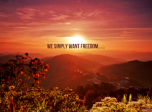 life, government overreach, freedom, attack on freedom, taxation, overtaxation, prepper, revolution civil war