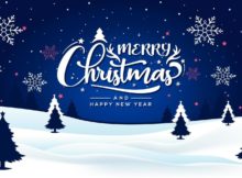 Merry Christmas & Happy New Year, meme, image, graphic