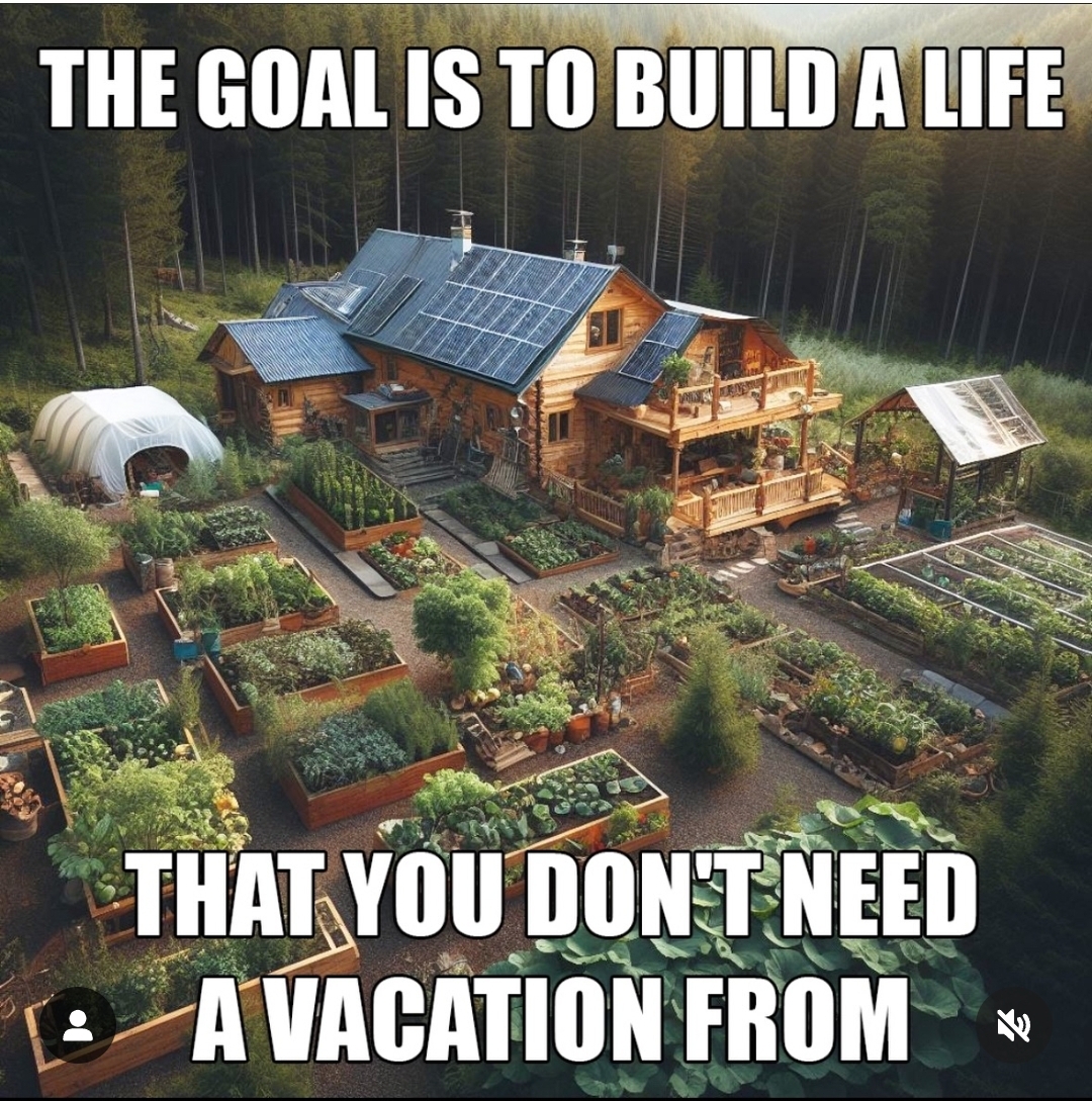 homestead, growing your own, garden, survival, homesteading, country living