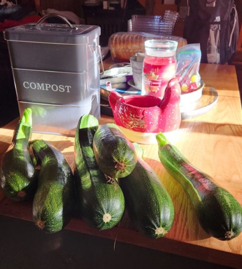 zucchini, gardening, preserving, canning, homestead, homesteading, survival garden, 