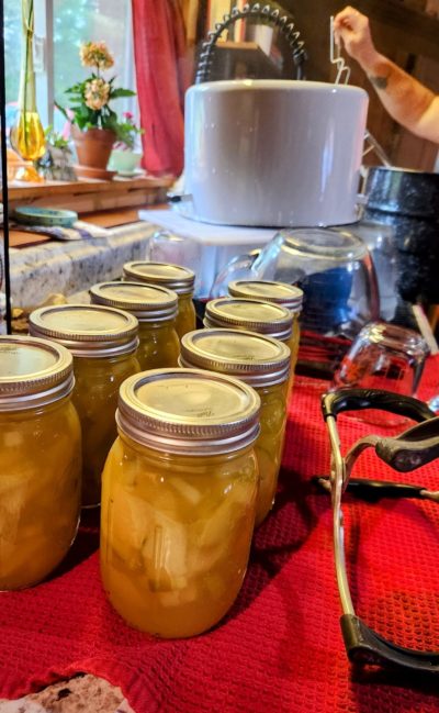 pineapple zucchini, canning, vegetables, garden, gardening, homestead recipe, prepper, prepare