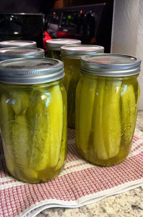 canning pickles, preserving food, pickles, food storage, prepper, prepare, homestead, garden, homesteading, prepare