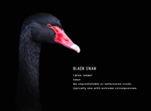 Black Swan event, event, black swan, 2024, 2025, prepaedness, prepper, prepare,