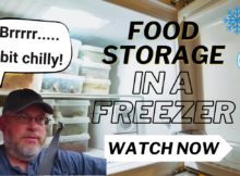 food storage, freezing, freezer, deep freeze, preparedness, prepper,