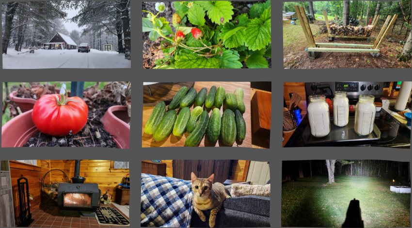 The Maine Prepper, homestead, homesteading, homesteader, prepper, farm, diy,