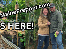 The Maine Prepper, TheMainePrepper.com, homestead, website, homesteading, preparedness, prepper, self reliance, self sufficient, canning, food storage, food preservation